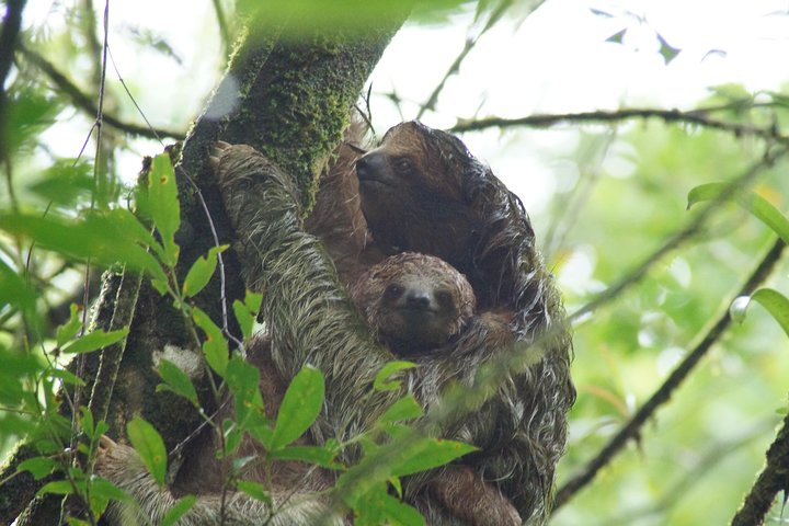 Mom and baby